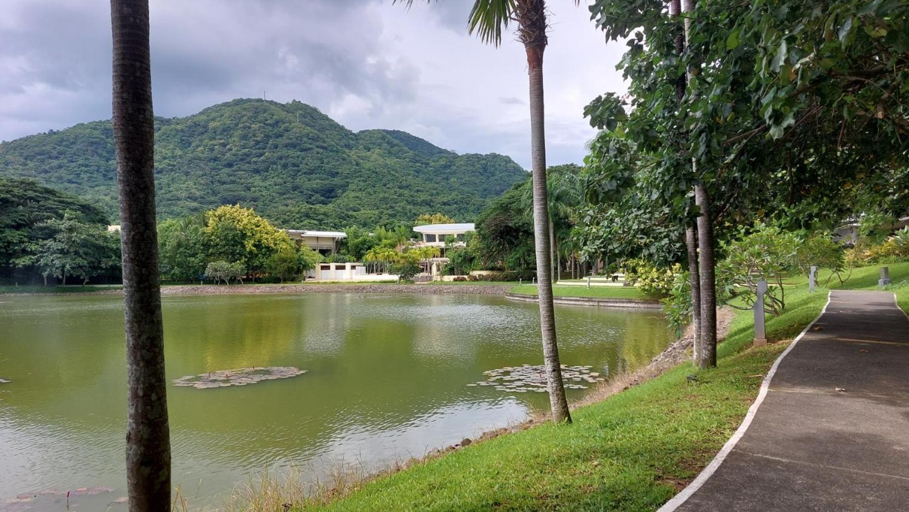 Pico De Loro Condo Unit Насугбу Екстер'єр фото